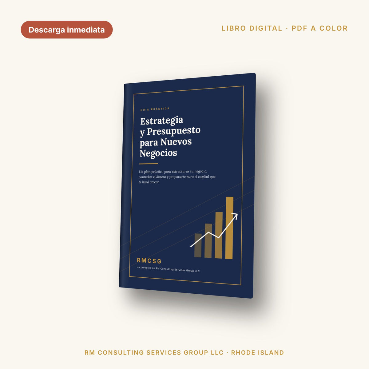Estrategia y Presupuesto para Nuevos Negocios (libro digital)