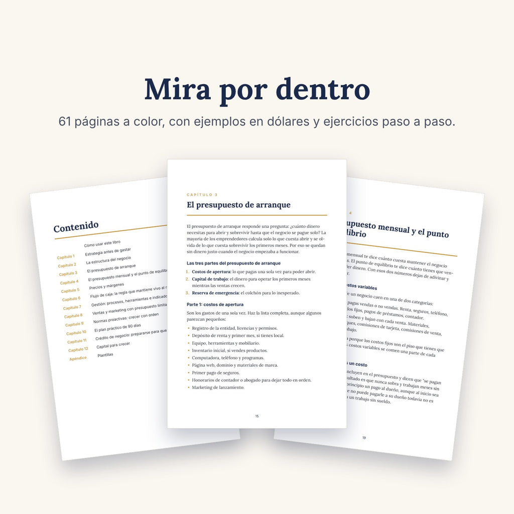 Estrategia y Presupuesto para Nuevos Negocios (libro digital)