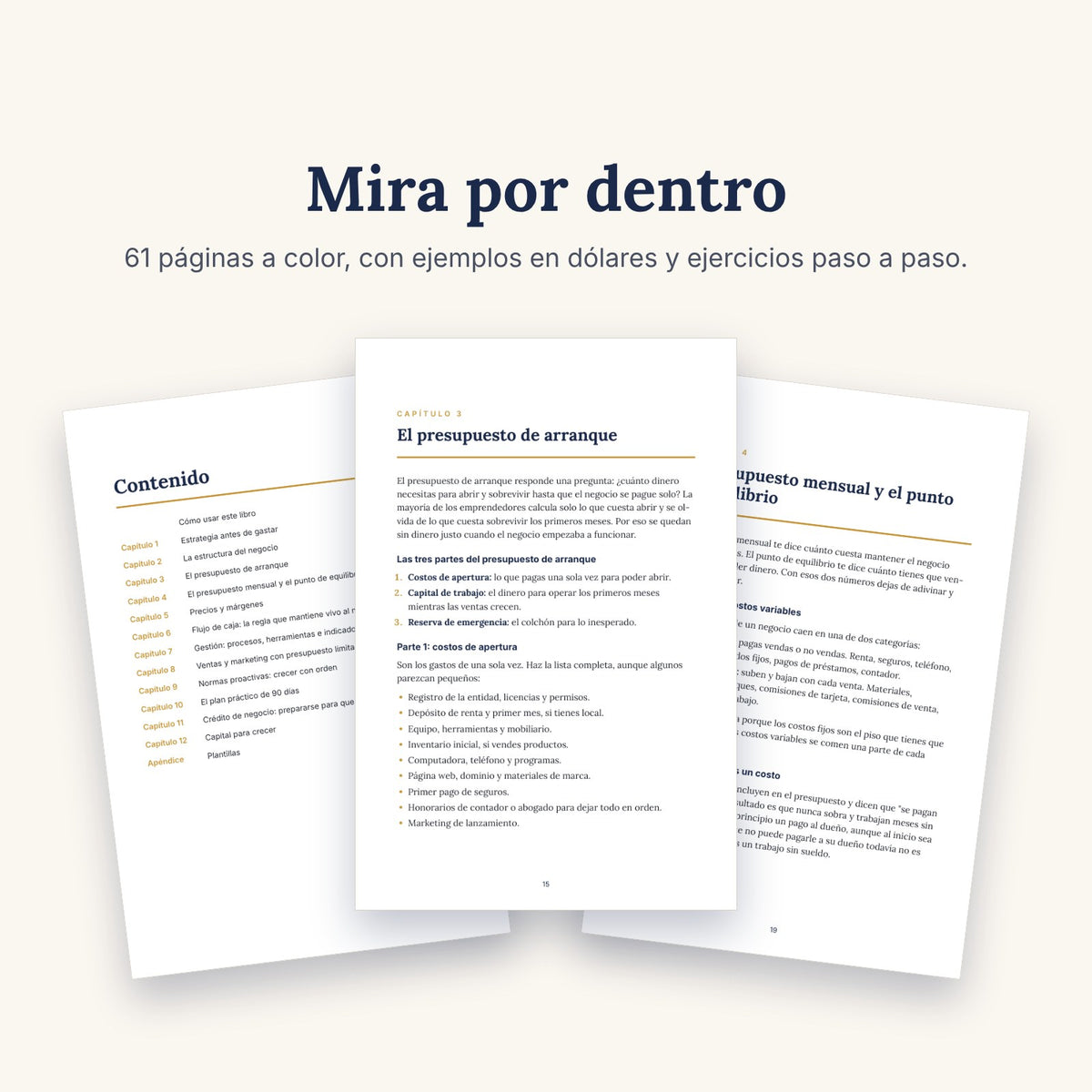 Estrategia y Presupuesto para Nuevos Negocios (libro digital)