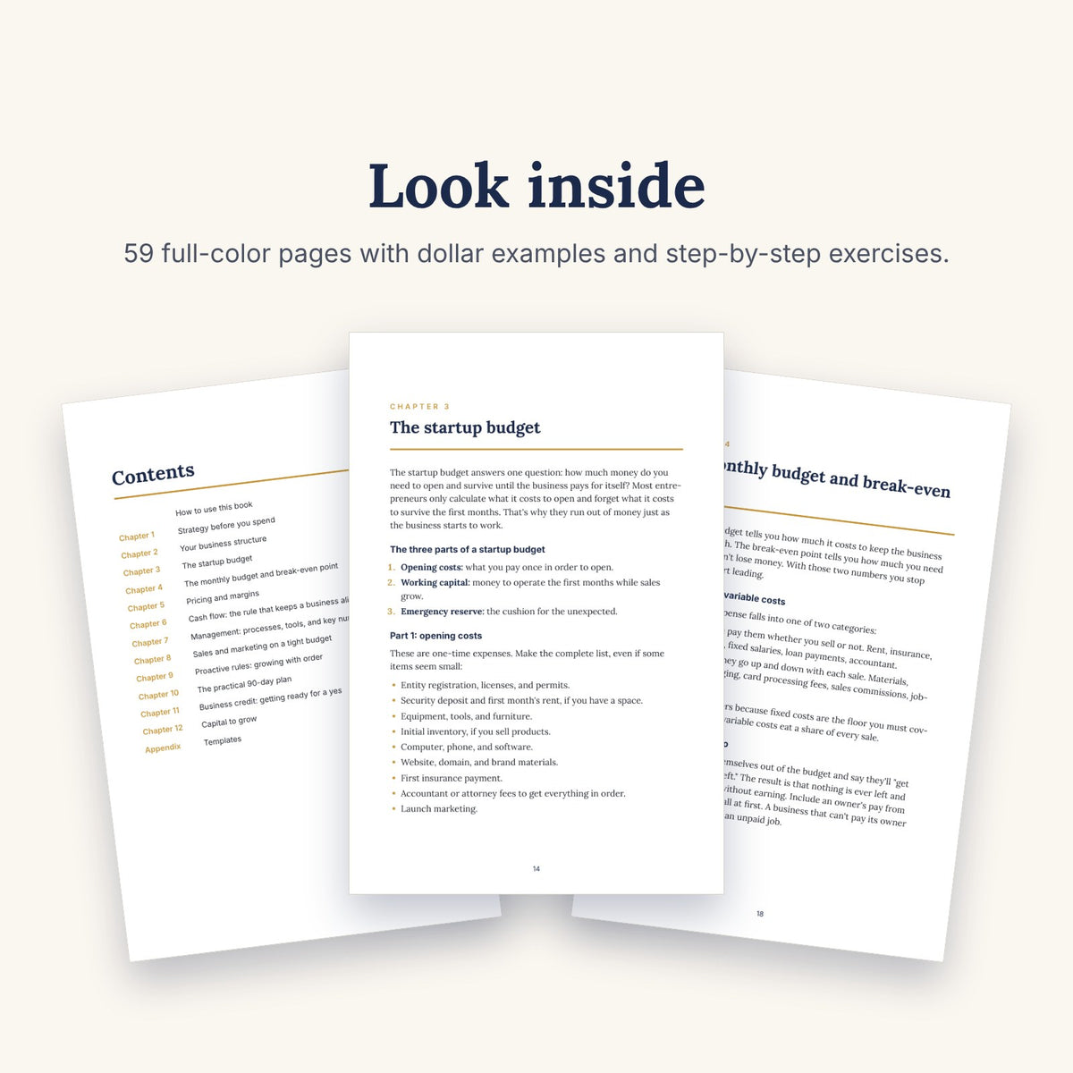 Strategy and Budgeting for New Businesses (eBook)